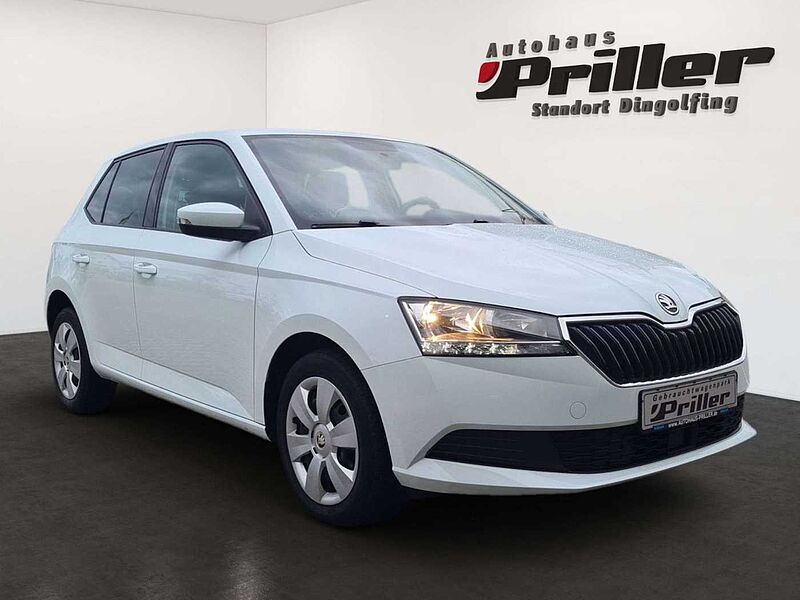 SKODA Fabia 1.0 MPI Ambition/Navi/Klima/CarPlay/1.Hand