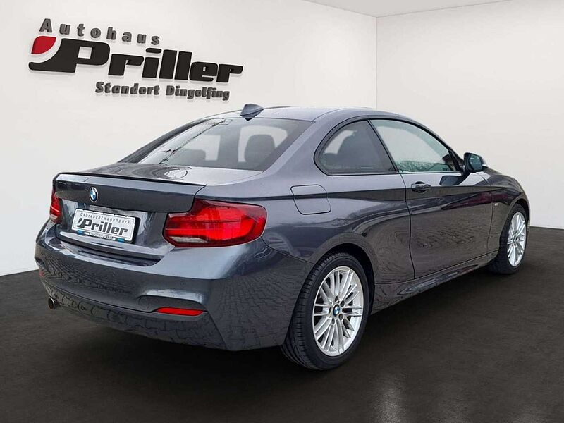 BMW 218 i Coupe M Sport/NAVI/LED/DAB/HIFI/RTTI/GSD/