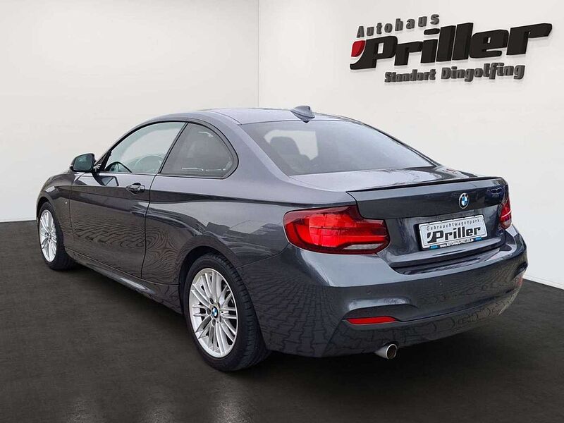 BMW 218 i Coupe M Sport/NAVI/LED/DAB/HIFI/RTTI/GSD/